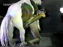 I can't get my horse to leave me alone.